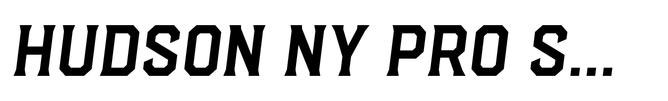 Hudson NY Pro Serif Regular Itl